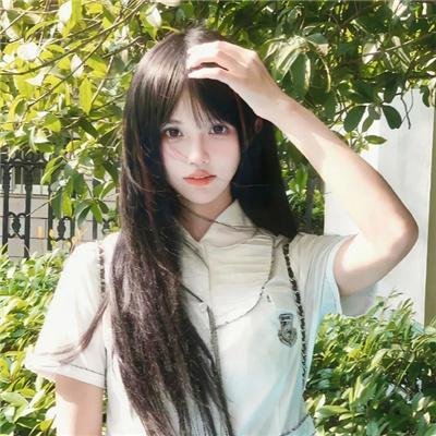挎斗摩托车里的狗